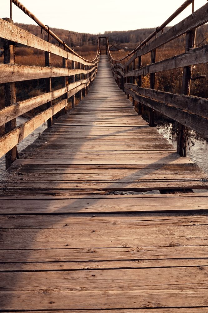 Photograph by Полина Котегова