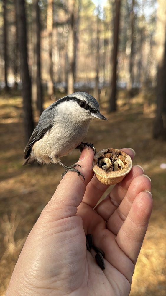 Photograph by Марина Мишутина