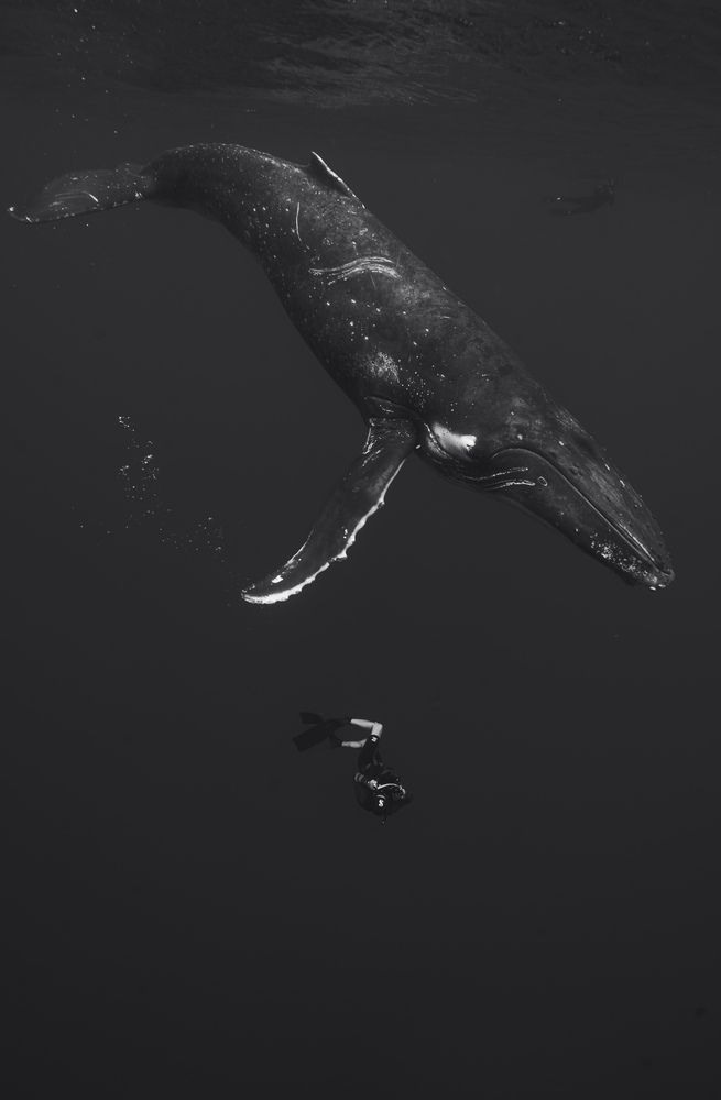 Photograph by juan valencia