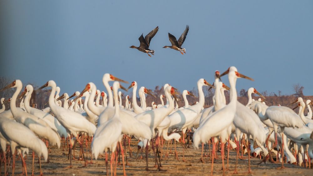 Photograph by tianfeng yang