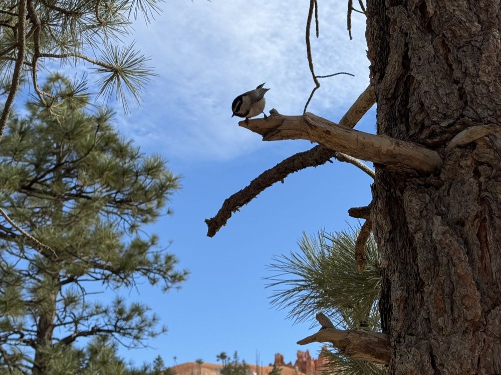 Фотография автора Ben Gorman