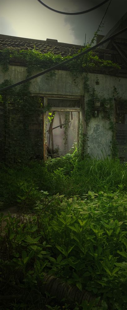 Photograph by Nicolas Ritch