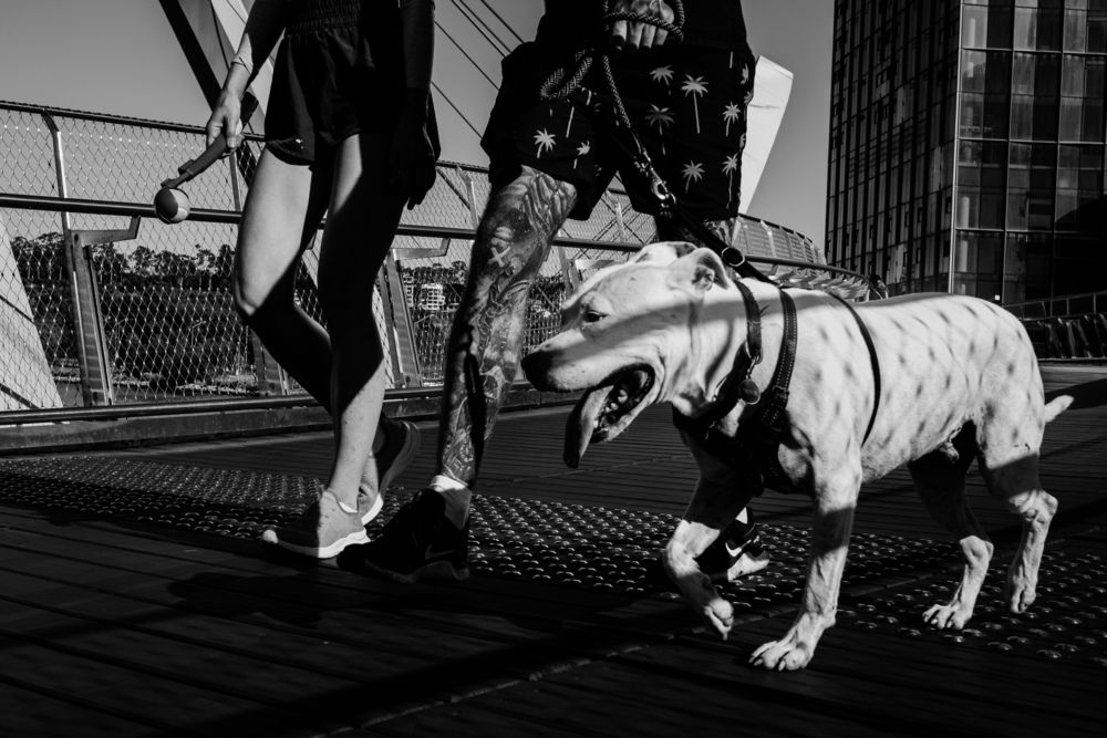 Photograph by Dmitrii Musienko