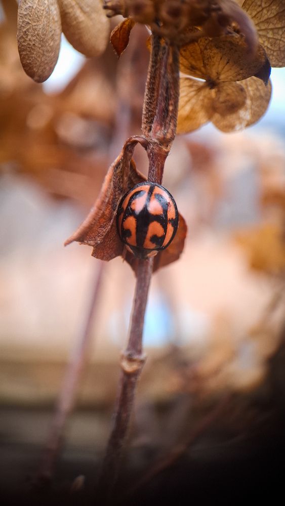 Photograph by Татьяна Кириллова