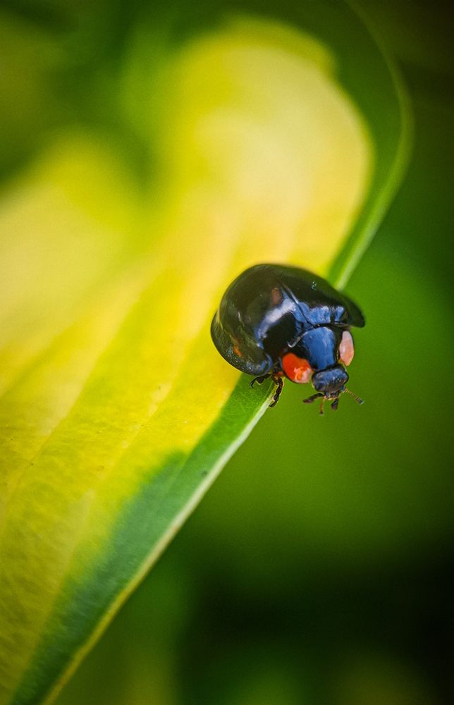 Photograph by Татьяна Кириллова