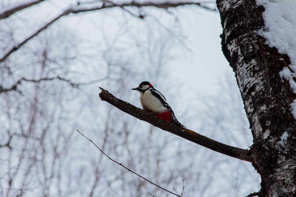 Photograph by Дмитрий Мазурин
