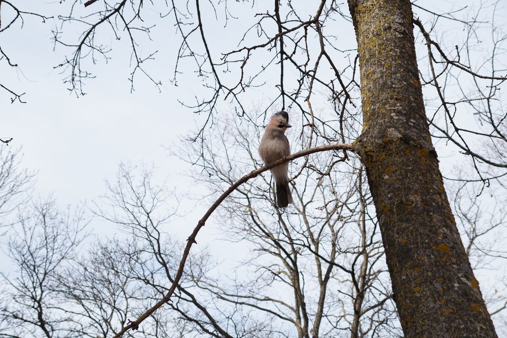 Photograph by Денис