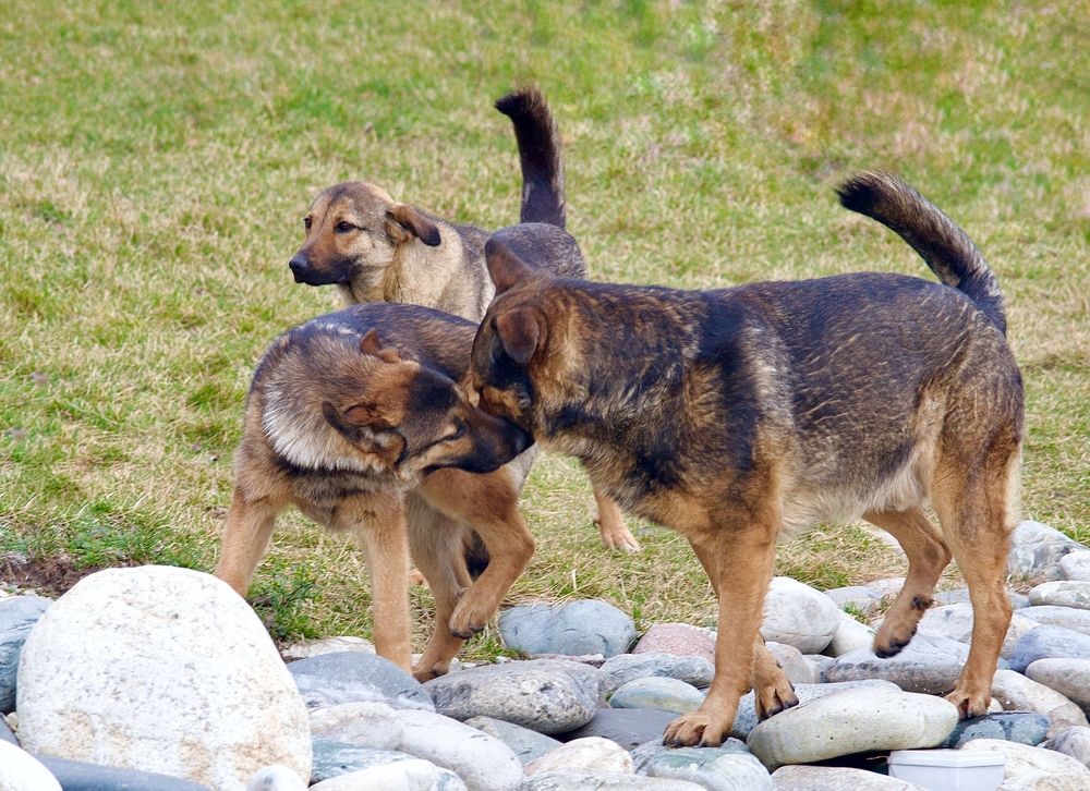 Photograph by Борис Захаров