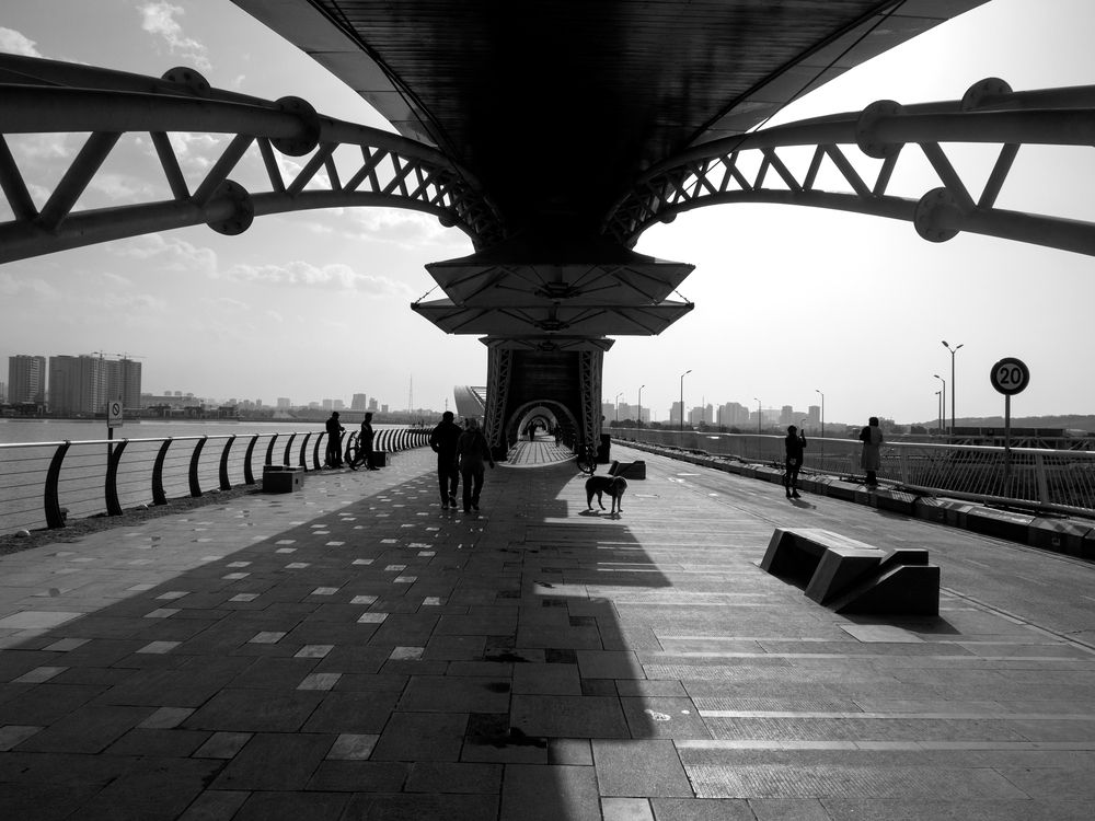 Фотография автора Abdolreza Aleagha