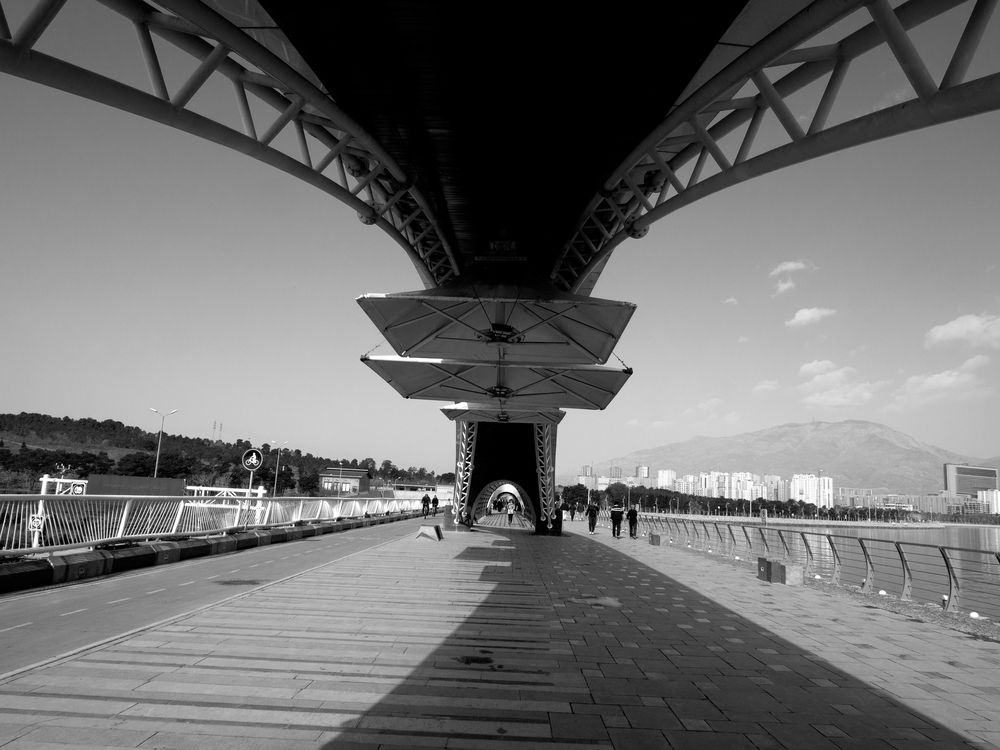 Фотография автора Abdolreza Aleagha