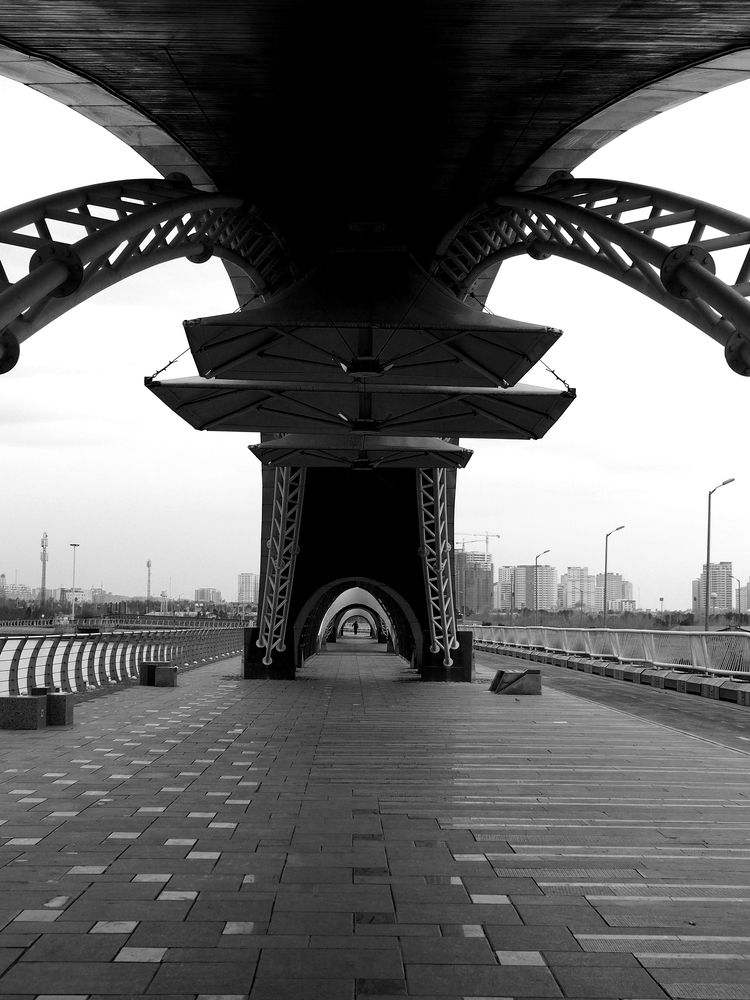 Фотография автора Abdolreza Aleagha