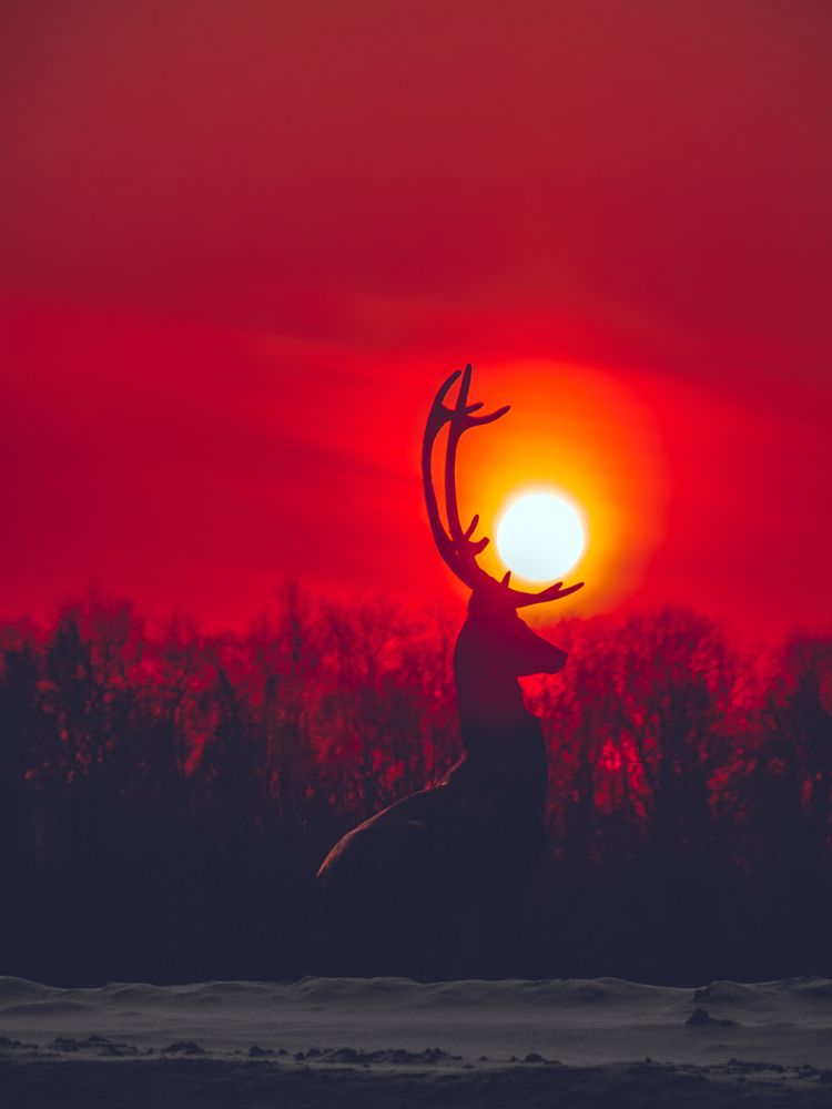 Photograph by Остапенко Юрий