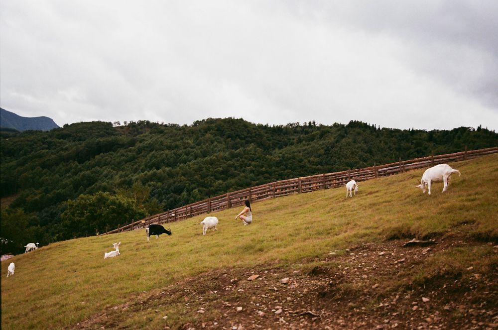 Photograph by Lian Olga