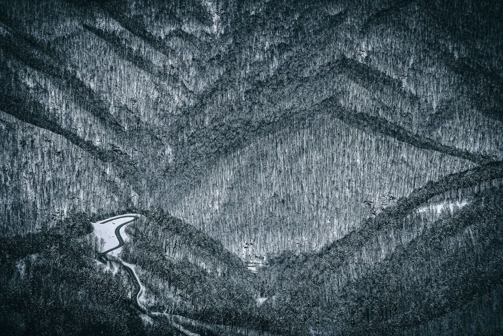 Фотография автора Андрей Груцинов