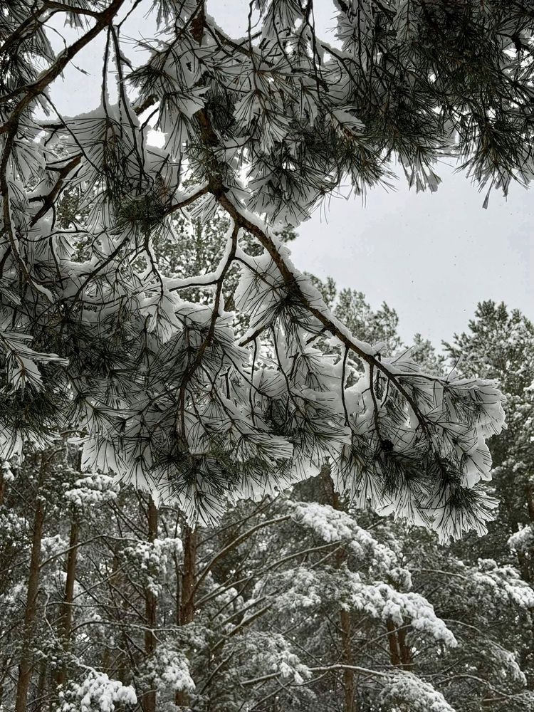 Photograph by Наталья Гузева