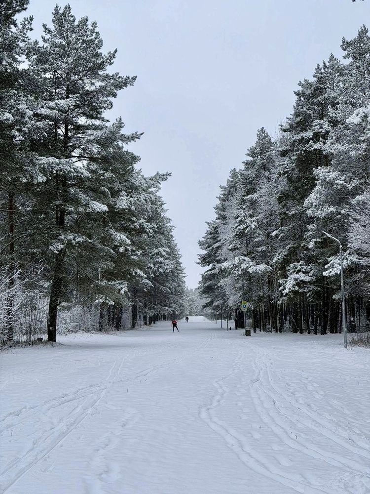 Photograph by Наталья Гузева