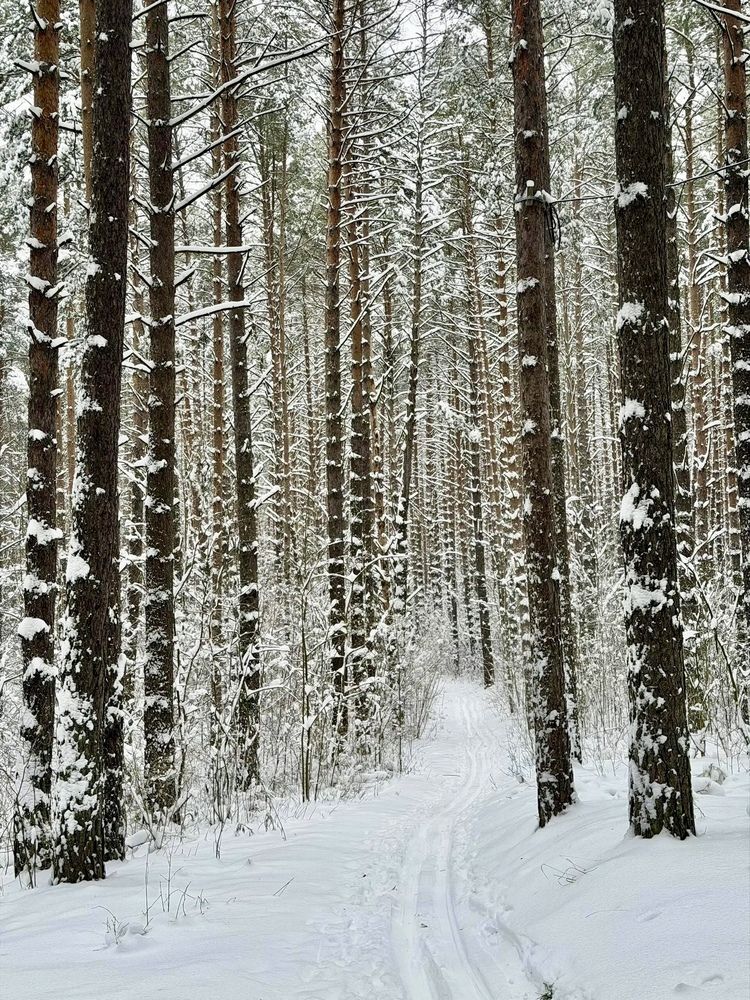 Photograph by Наталья Гузева