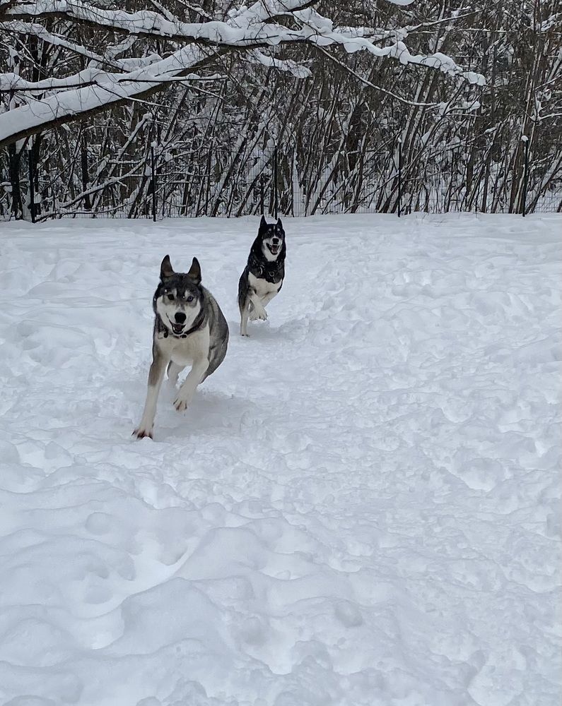 Photograph by Елена Одынец