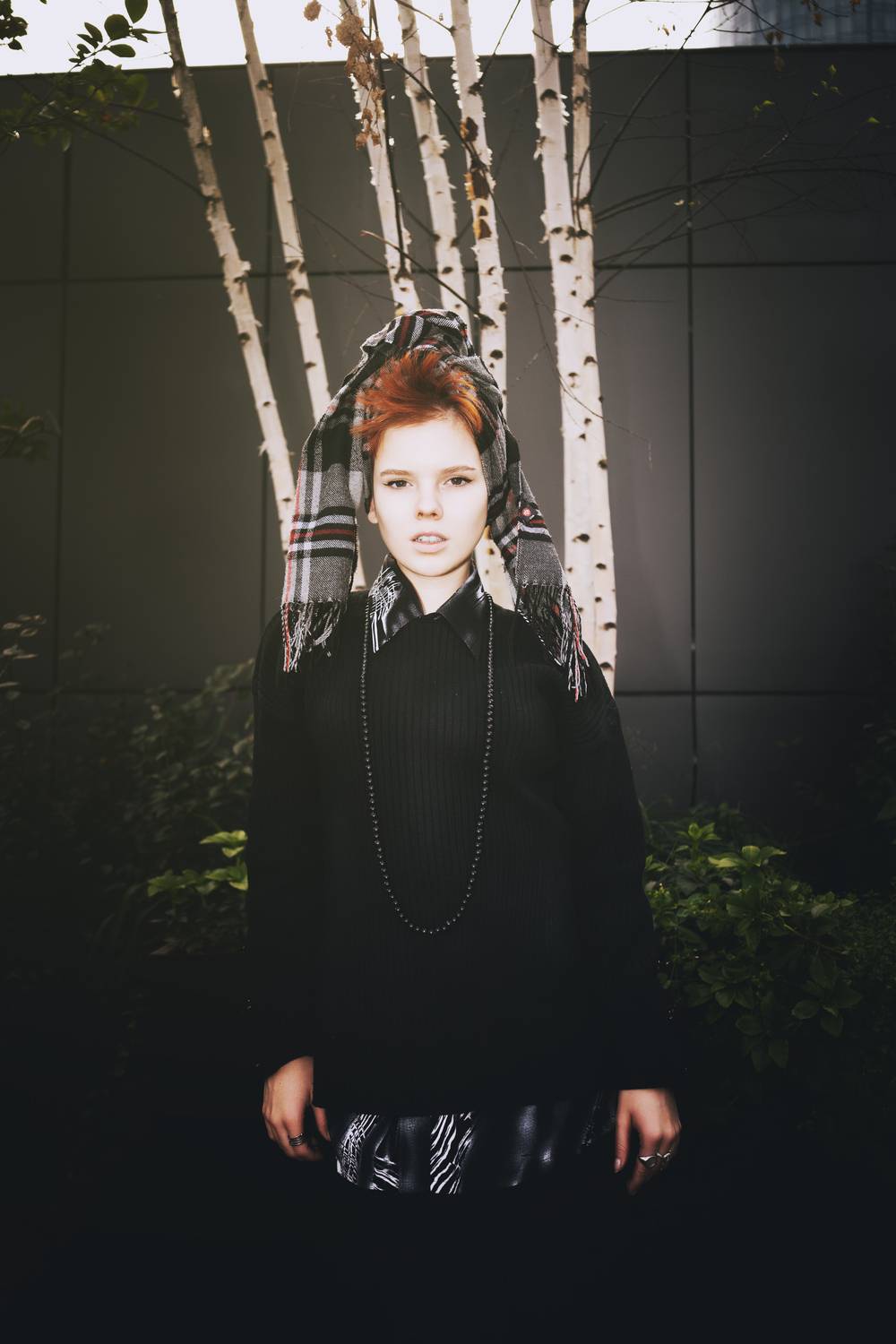 Photo #13216211