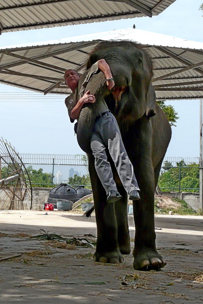 Фотография автора николай зайцев