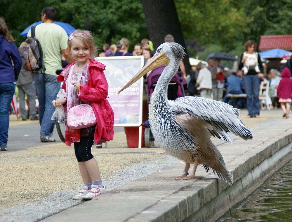 Фотография автора Sergej Roor