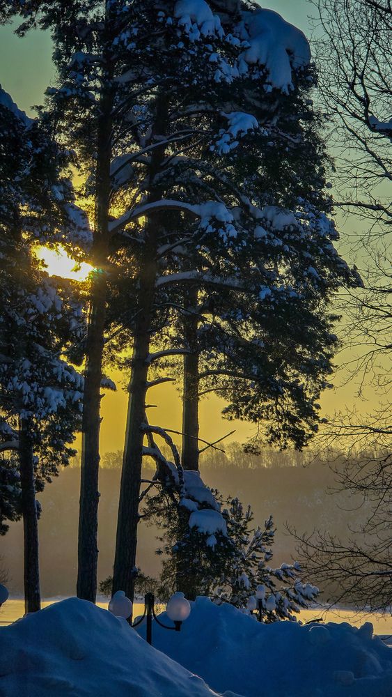 Фотография автора Елена Сиушова
