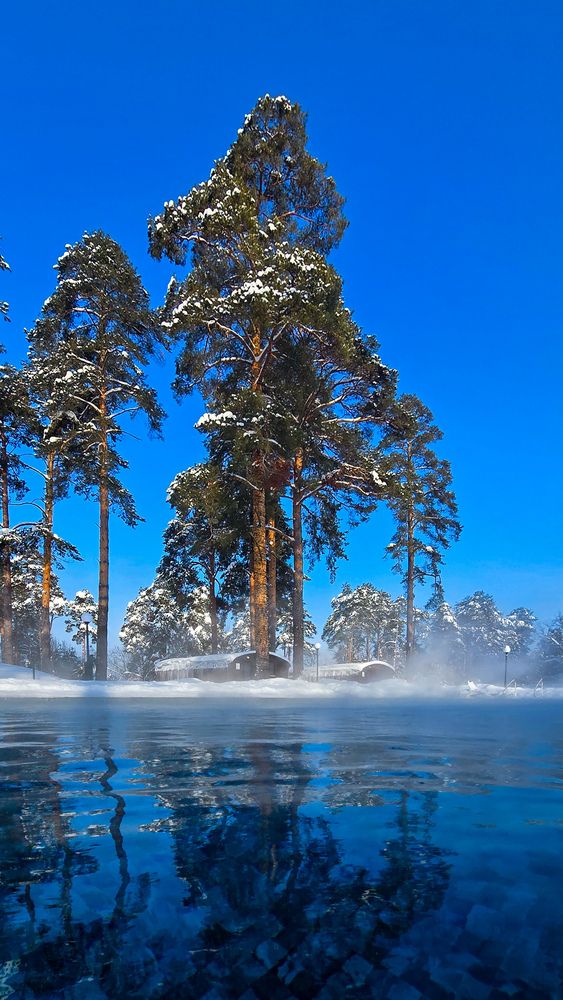 Фотография автора Елена Сиушова