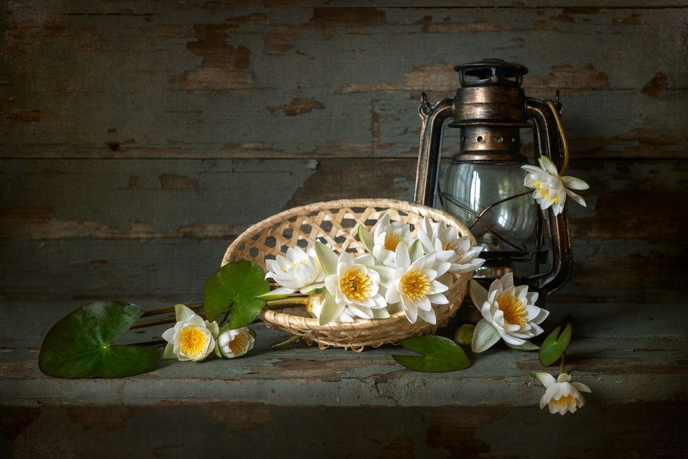 Photograph by Рюмина Ляля