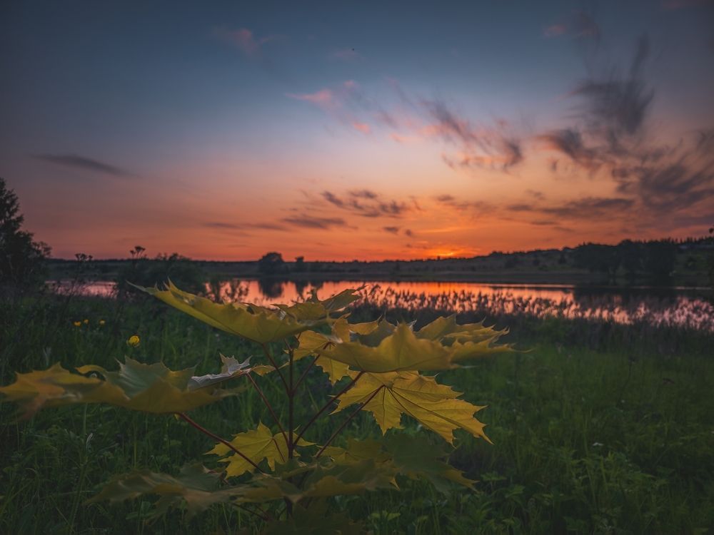 Photograph by Кирилл Сидоров