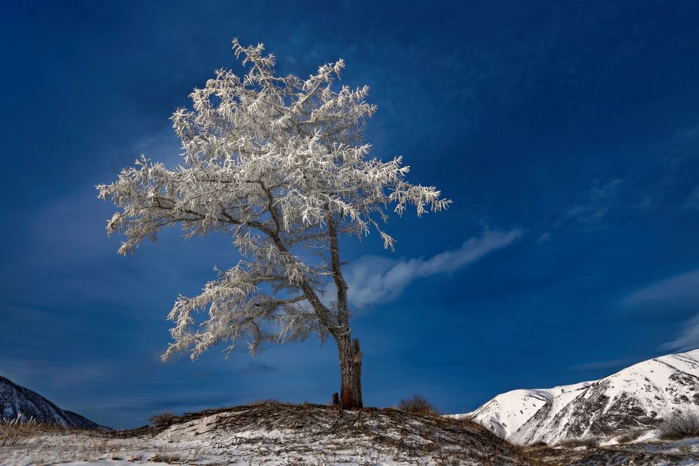 Photograph by Александр Рожков