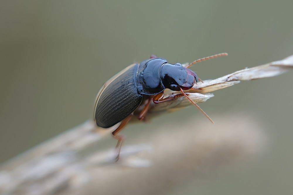 Photograph by Алексей Курносов