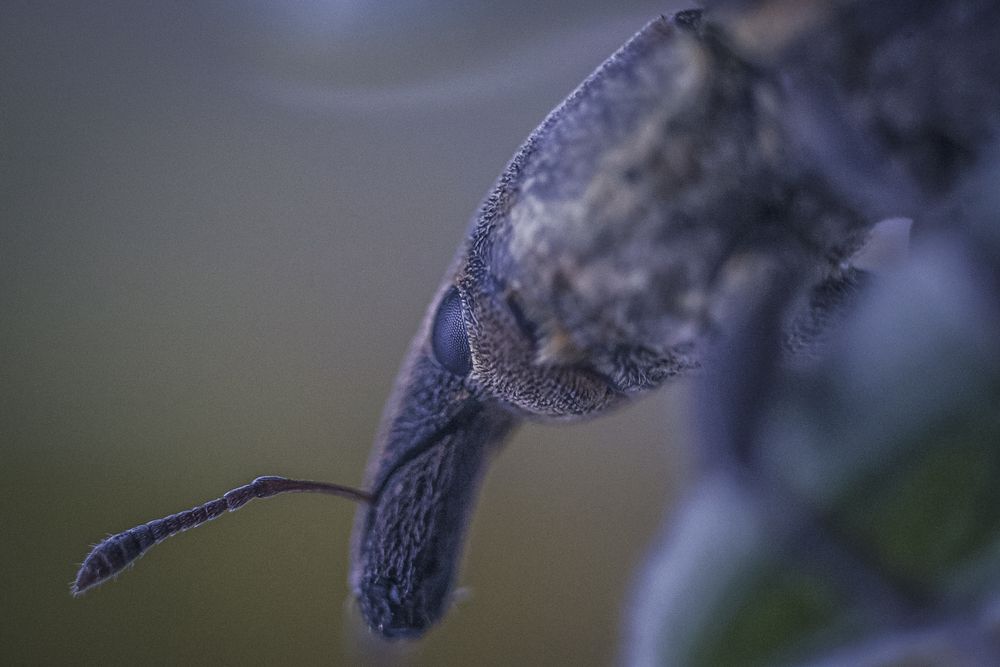 Photograph by Victoria Mogulyan