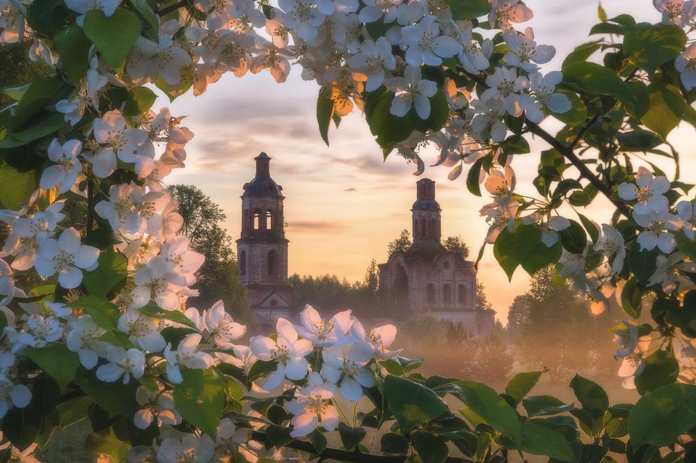 Photograph by Михаил Устюжанин