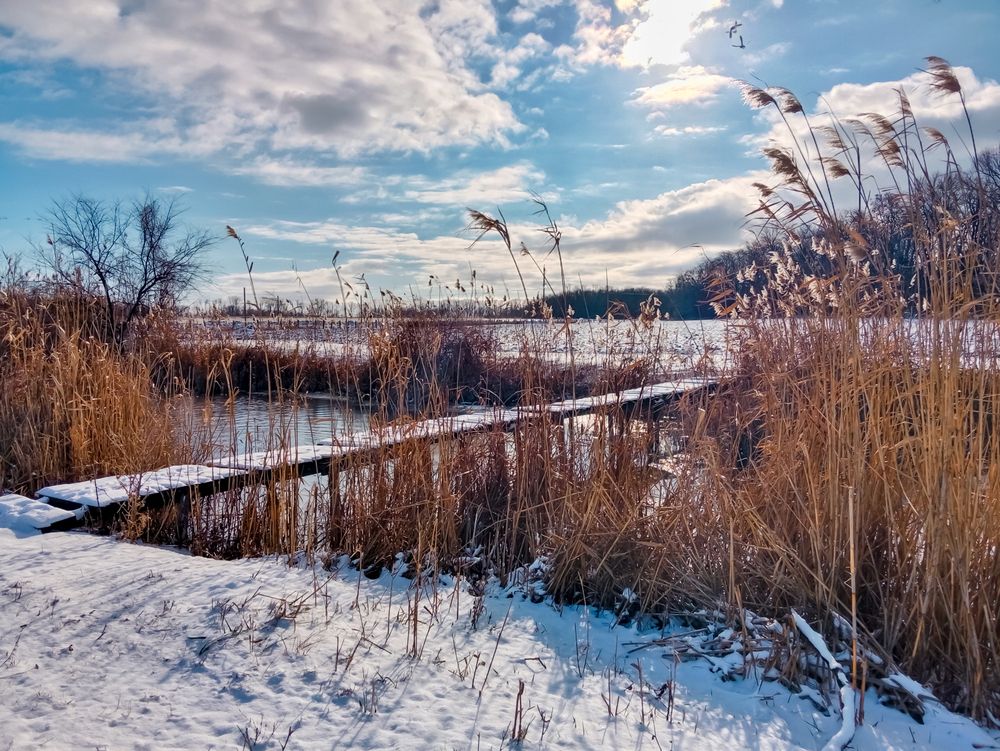 Photograph by Галина Григорьева