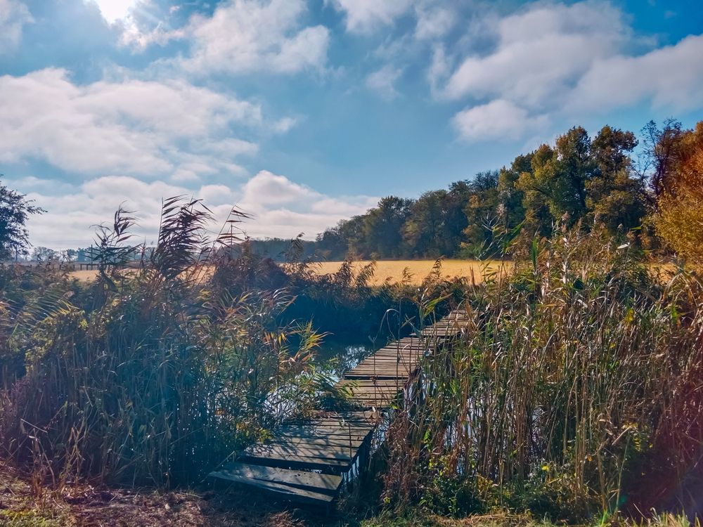 Photograph by Галина Григорьева