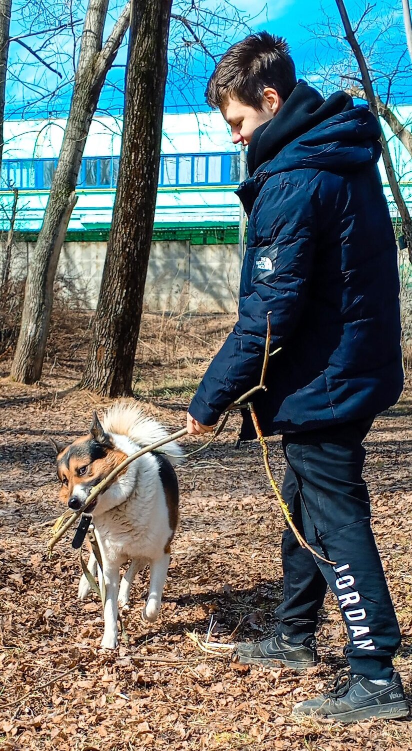 Photo #13216401