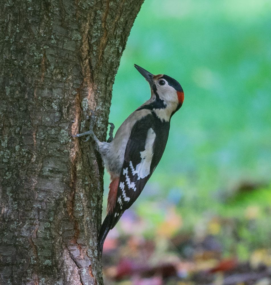 Photograph by Дмитрий Журавлёв