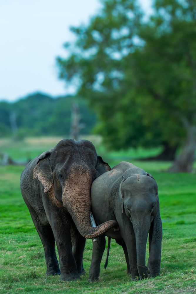 The Perfect Couple Photo