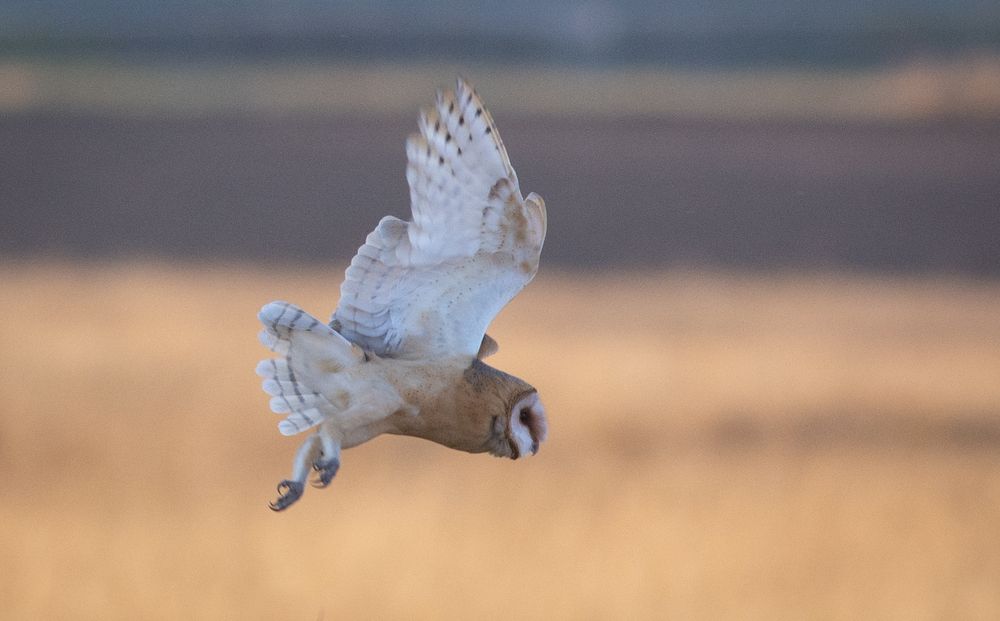 Photograph by Дмитрий Журавлёв