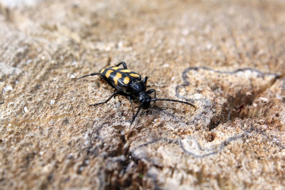 Photograph by Olga Bagaeva