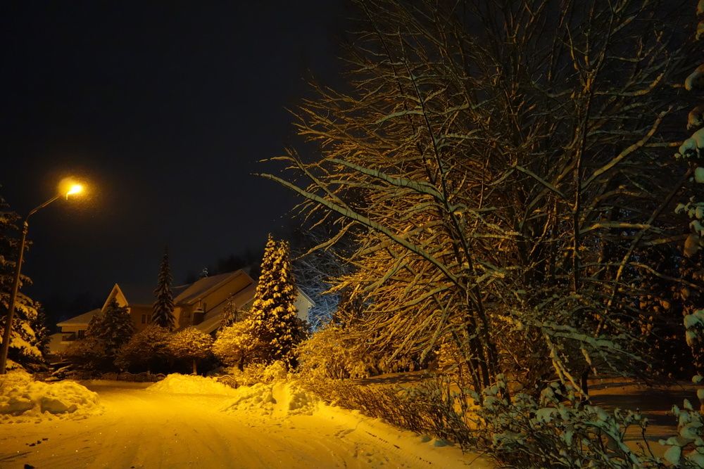 Photograph by Сергей Щебетов