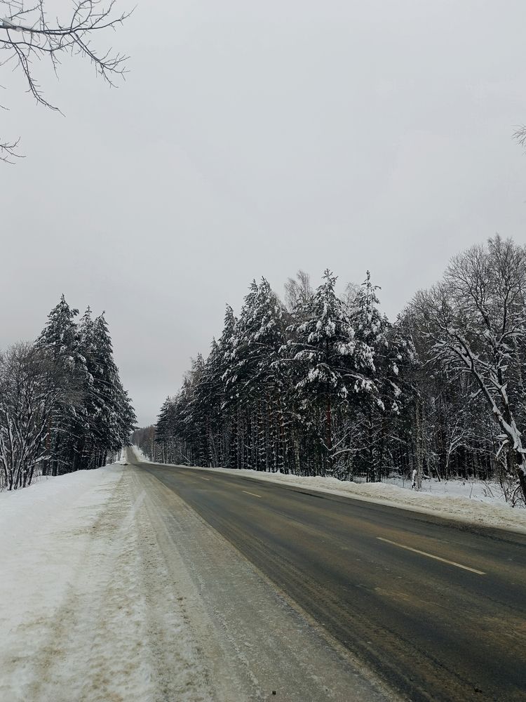 Фотография автора Курчина Вероника