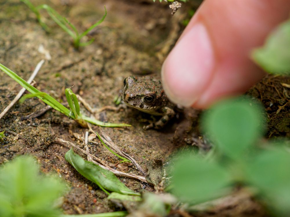 Photograph by Кадиров Азат