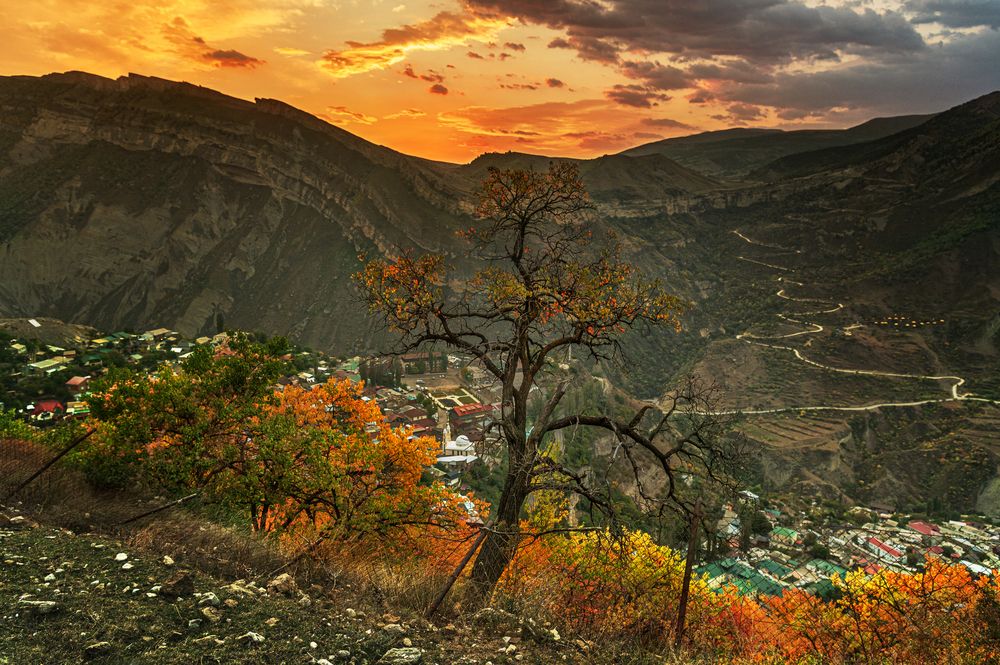 Фотография автора Кирилл Аксенов