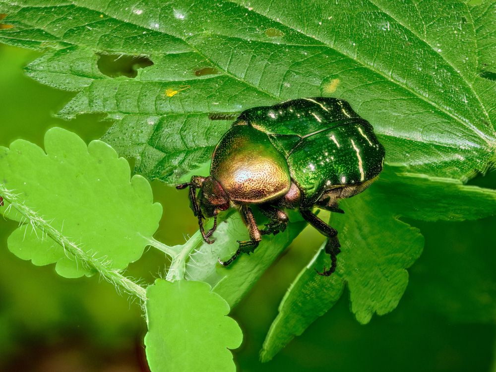 Photograph by Виктор Зайцев
