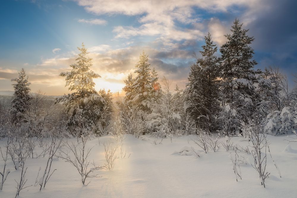 Photograph by Ворошилов Александр