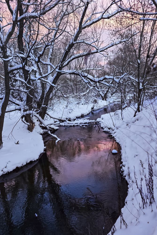 Фотография автора Нина Зинченко