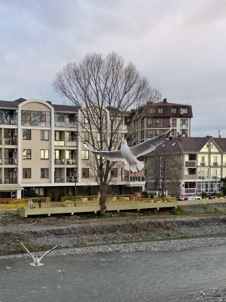 Photograph by Галина Бессуднова