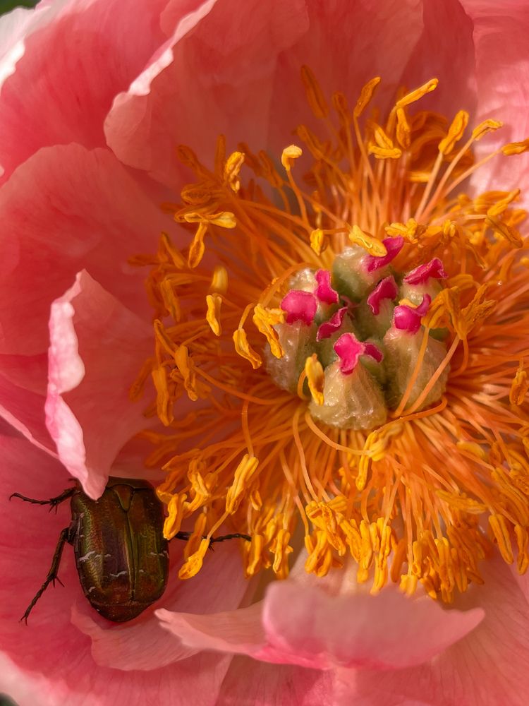 Фотография автора Светлана Савина