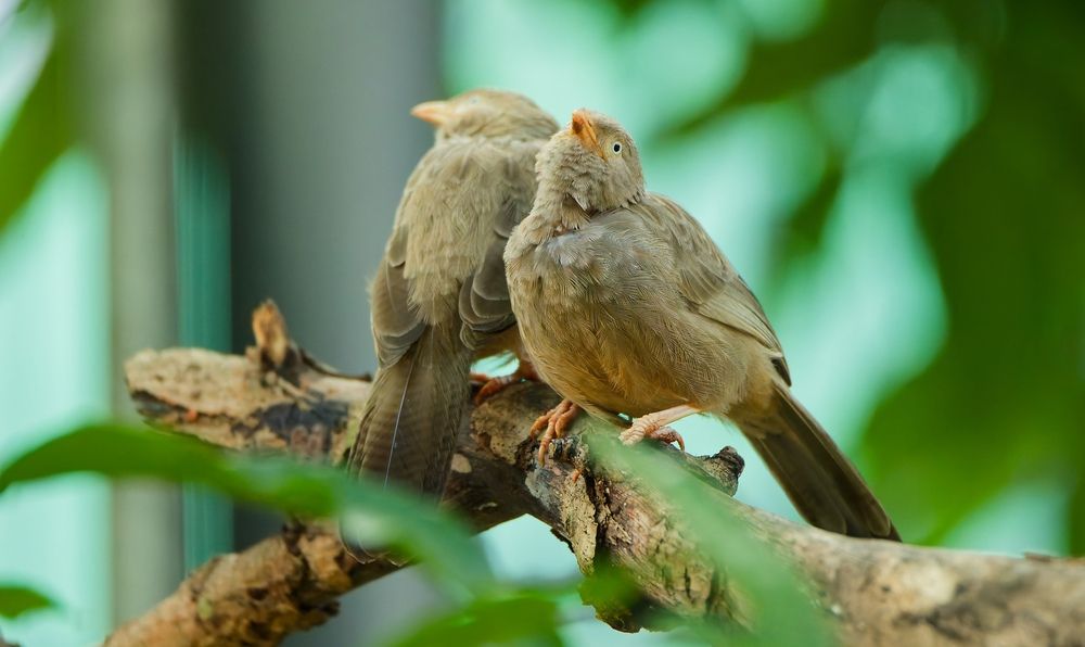 Фотография автора Lasith Fernando